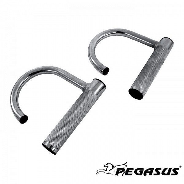    Pegasus -0601