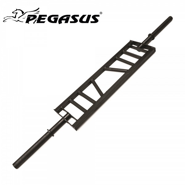    Pegasus   50mm x 2.08m 20kg -5025
