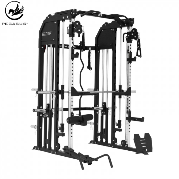  Pegasus All-in-One Trainer X1 -6340