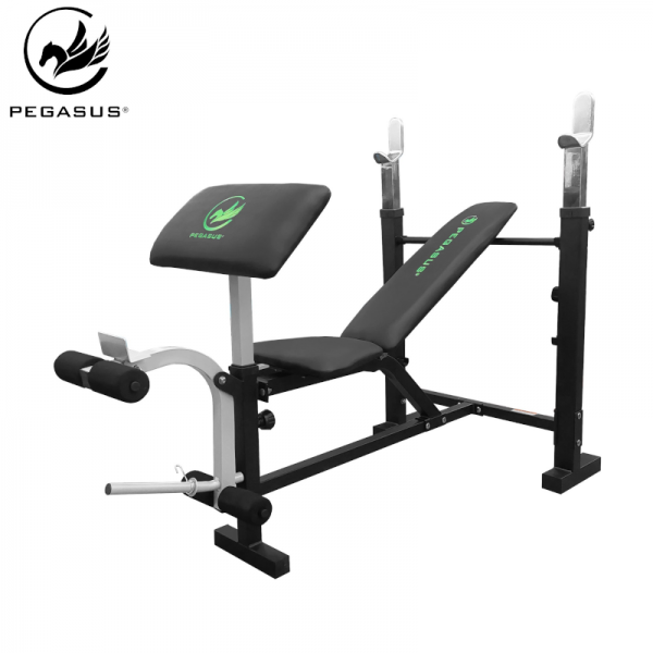  Pegasus   W-359 -5818