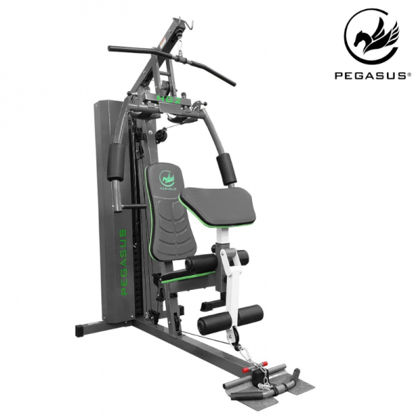  Pegasus   HG2 -5212