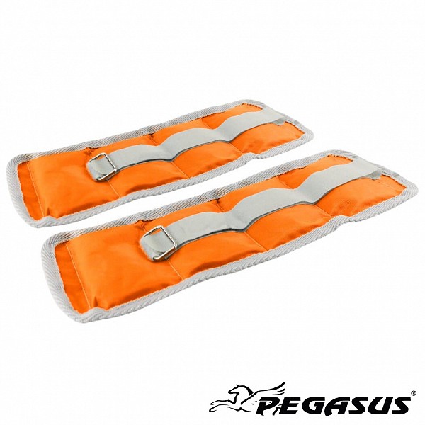   Pegasus 2x0.5kg -2112-05