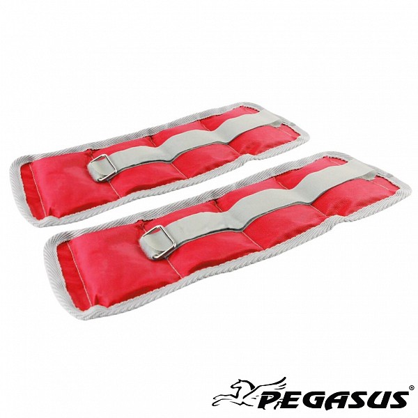   Pegasus 2x1kg -2112-10