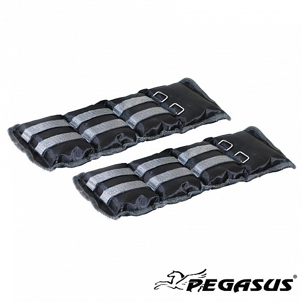   Pegasus 2x2kg -2112-20
