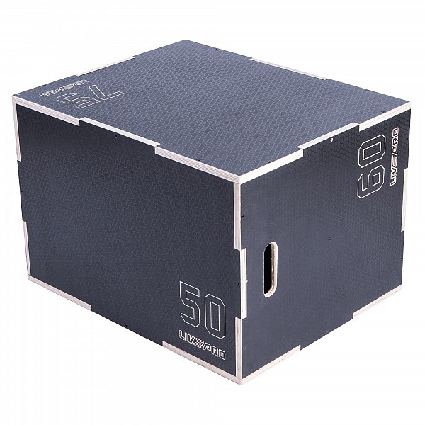    3  1 Plyo Box LivePro -8157