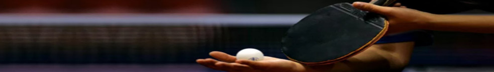  Ping Pong