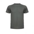   Ancientoo Gray