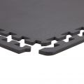   EVA Puzzle  4 T